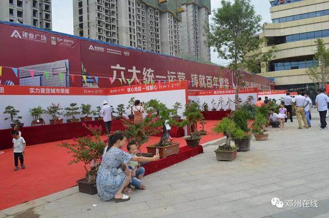 2018年邓州市第三届盆景展盛大开幕啦！