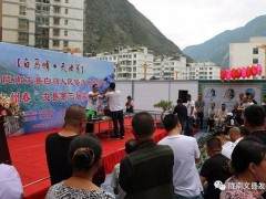 文县举办第三届盆景艺术展