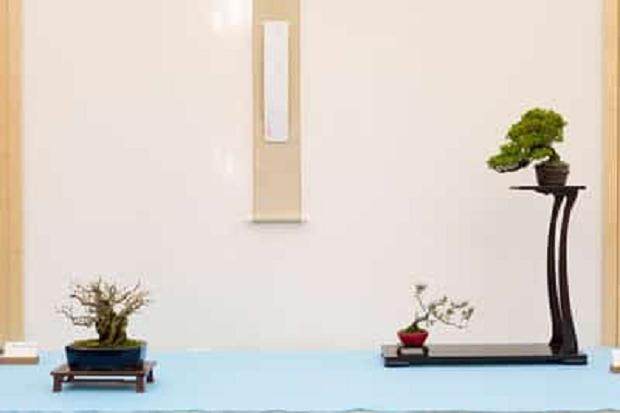 野本先生在第十六届湾岛盆景年度展上的评论