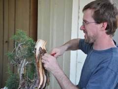 波特兰盆景专业人士参加今夜盆景问答