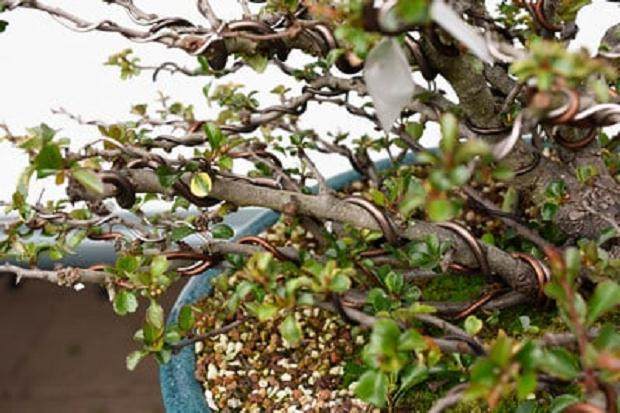 1.根据需要拆下导线,露出要切割的区域