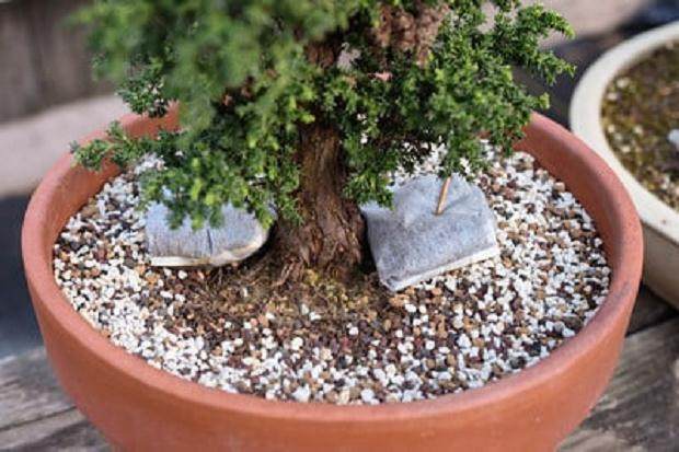 干燥的原始土壤,干燥的新土壤