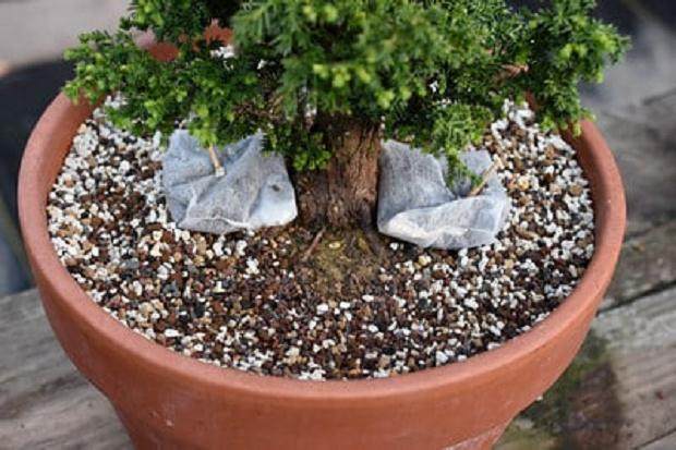 干燥的原始土壤,干燥的新土壤