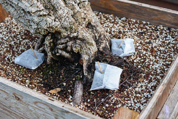 潮湿的原始土壤,潮湿的新土壤 - 无需水