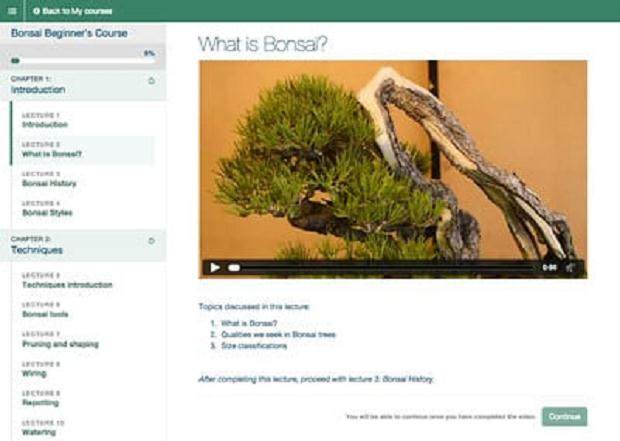 浏览课程 - 讲座2,什么是盆景?