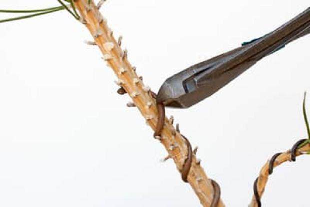 一次移除一个部分的导线