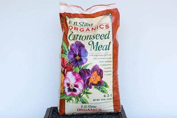 图解 尝试不同盆景肥料试验的效果