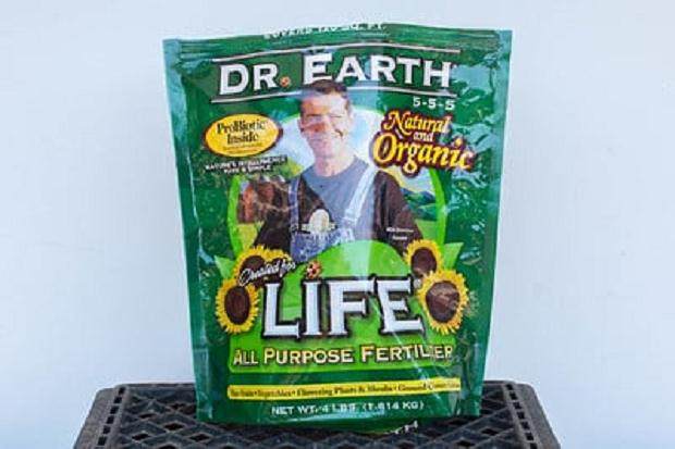 图解 尝试不同盆景肥料试验的效果