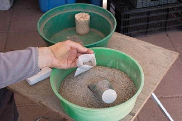 盆景施肥 如何用肥料填充茶包