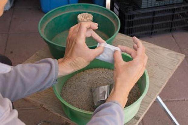 盆景施肥 如何用肥料填充茶包