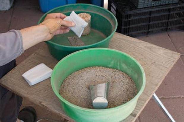 盆景施肥 如何用肥料填充茶包