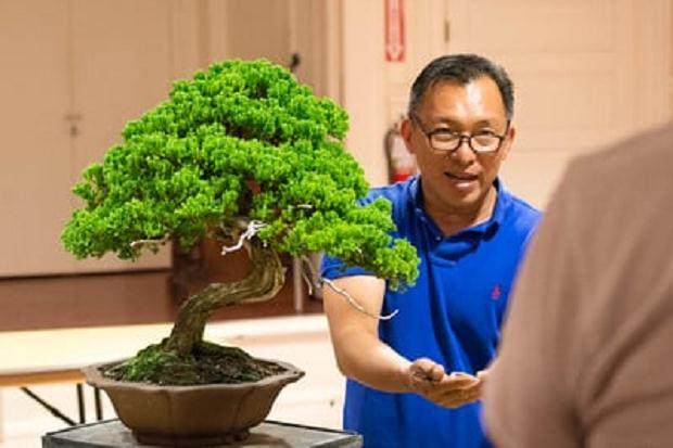 本月的湾岛盆景会议专注于盆景设计