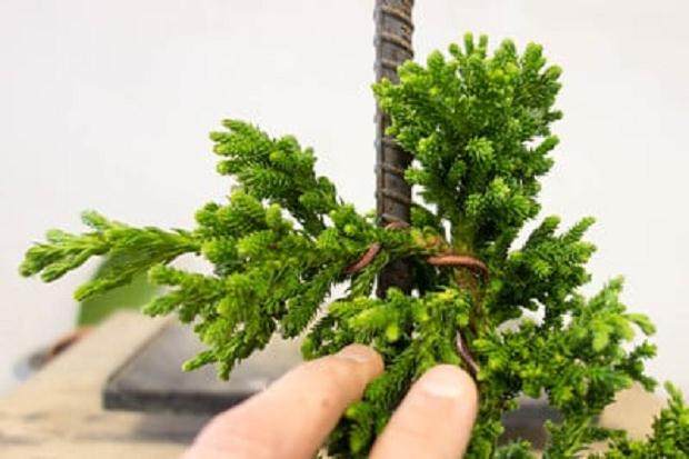 将旧的顶端连接到侧面后