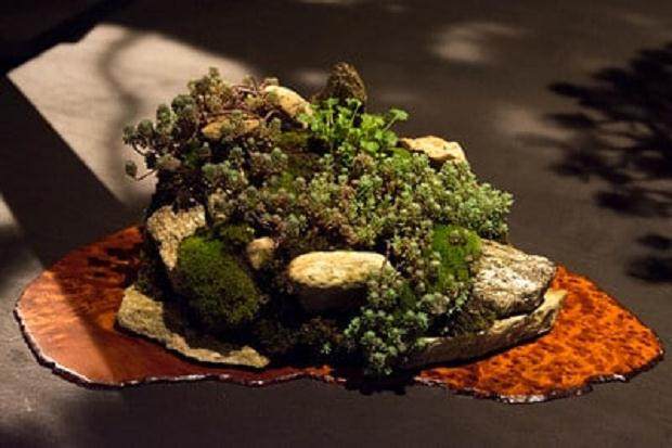 传统的盆景展览评判 通常一团糟