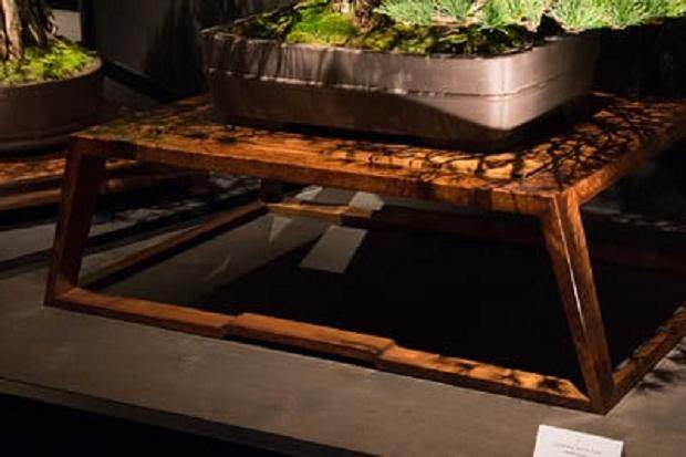 传统的盆景展览评判 通常一团糟