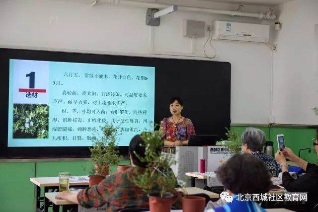 新街口社区教育学校开展微盆景制作活动