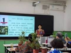 新街口社区教育学校开展微盆景制作活动