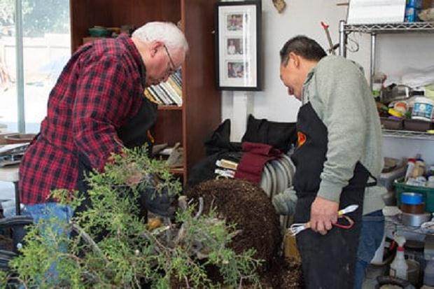 从根球的底部开始