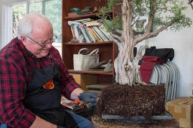 梳理出根源 - 根部工作很有趣!