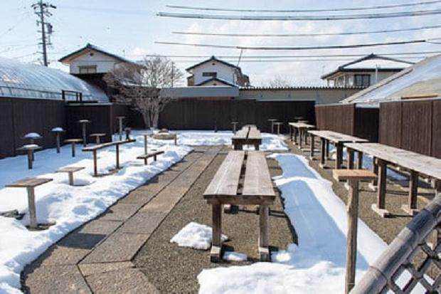 冬天里一个美丽的盆景花园