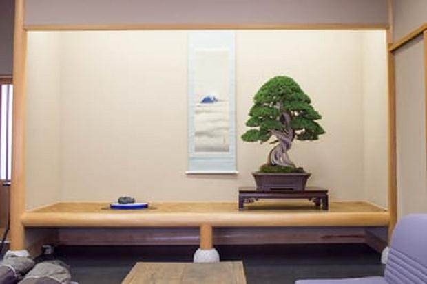 冬天里一个美丽的盆景花园