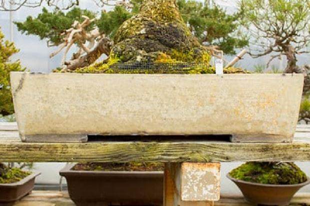 古色古香的釉面的盆子