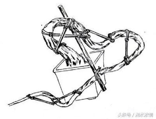盆景制作技术 棕丝蟠扎法