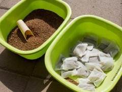 如何确保松树盆景在夏季强劲生长