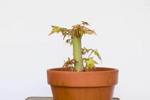 新的拍摄高低起伏将为未来的造型提供很好的选择