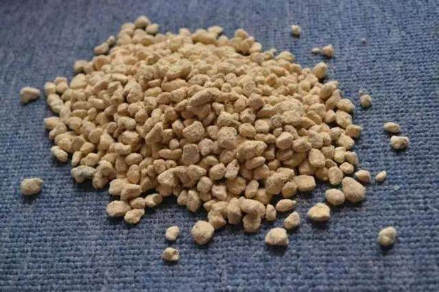 盆景用土极有讲究 这种比例的土壤最好!