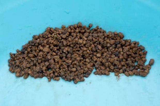 潮湿的赤玉土 - 注意较暗的颜色