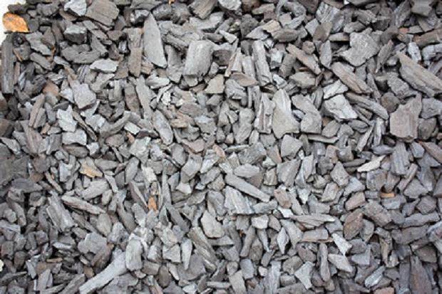 制作流行的盆景土壤配方 图片