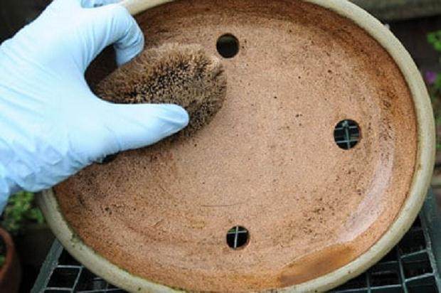 洗去盆子上的土壤残留物