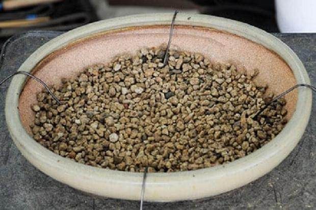 图解 移植时如何保护盆子里的盆景