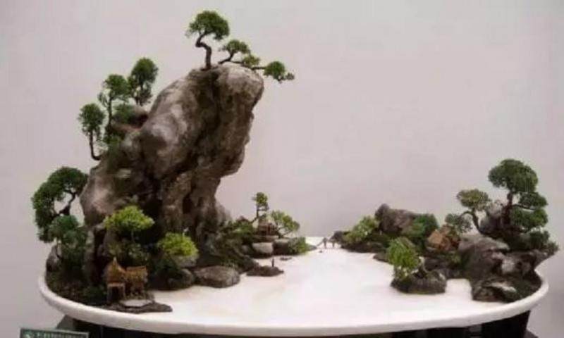 峡谷式盆景该如何制作?