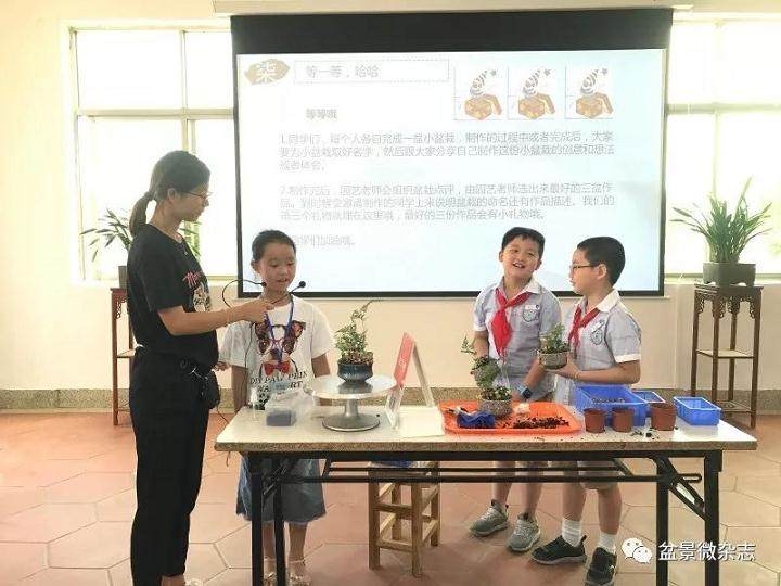 我参加了学校组织的小记者活动-走进鸿江盆景