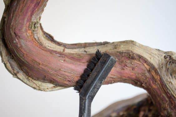 图解 如何做好盆景展览前的清理工作