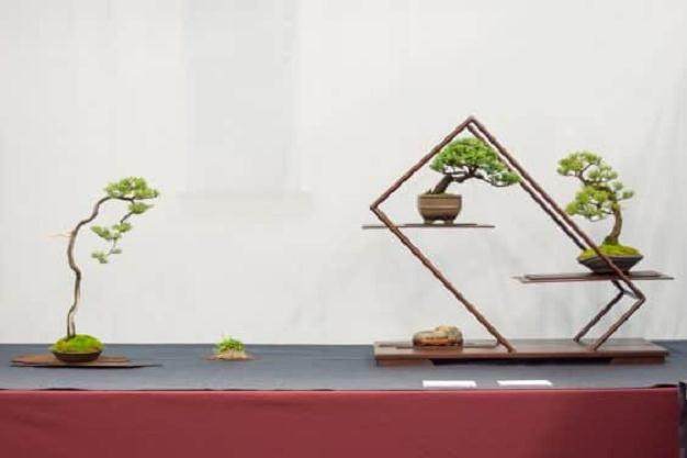 有角度的箱子小品盆景显示