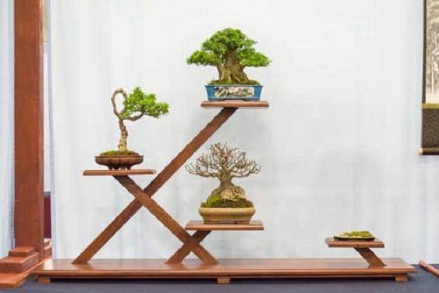 小品盆景在第五届美国国家展览中展出