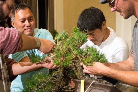 2016年太平洋西北部盆景俱乐部协会公约的重点