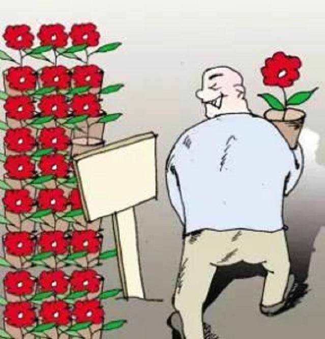 只因一时贪念 将他人的盆景偷走