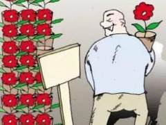 只因一时贪念 将他人的盆景偷走