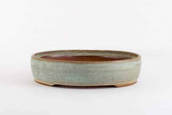 浅蓝色椭圆形 - 盆的深度适合具有大量树干的落叶材料