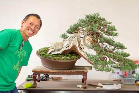 盆景俱乐部计划什么在你的俱乐部最有效？