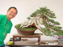 盆景俱乐部计划什么在你的俱乐部最有效？