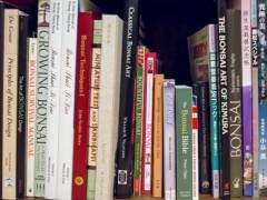 你是如何学习盆景制作的？