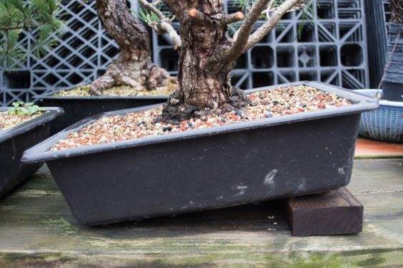 锅底一个2 x 4可以减少土壤容纳水的能力