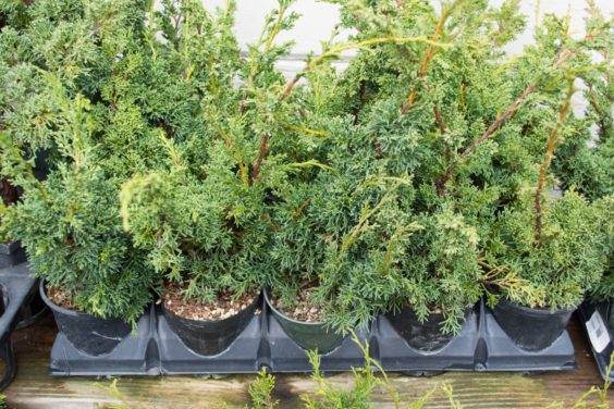 这些歼灭者 - 一目了然 - 保持在一起