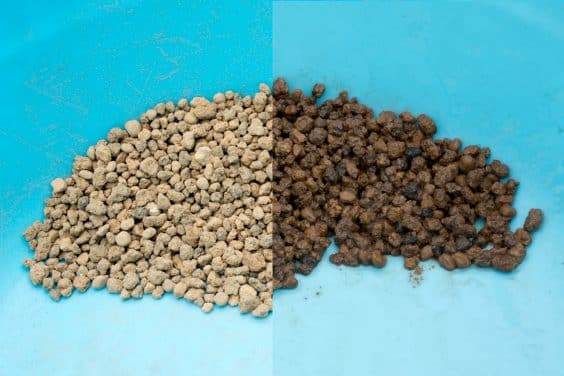 干燥赤水和潮湿赤水