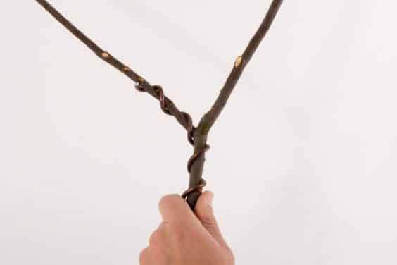 左手分支上的锚丝